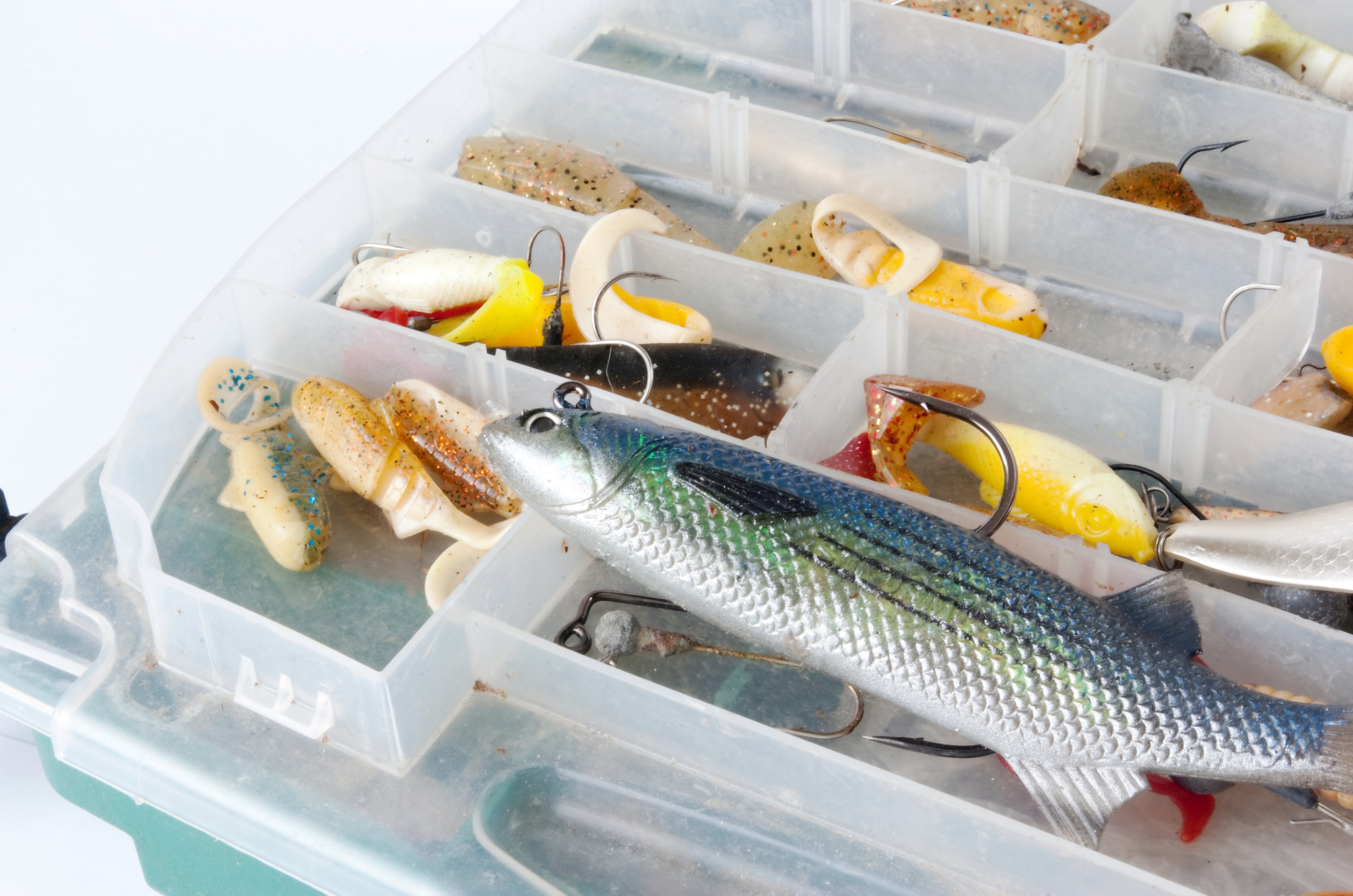 Tackle Box of soft plastic lures