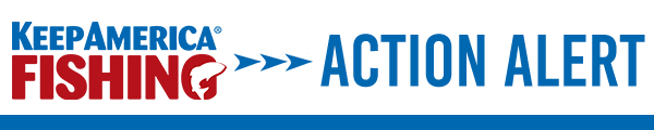 Action Alert Header