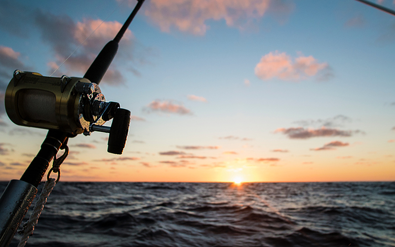 Fishing reel at sunrise