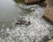 aquatic invasive species in MS River Basin