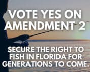 Picture of angler fishing with sunset in background. Text overlay reads Vote YES on Amendment 2. Secure the right to fish in Florida for generations to come.