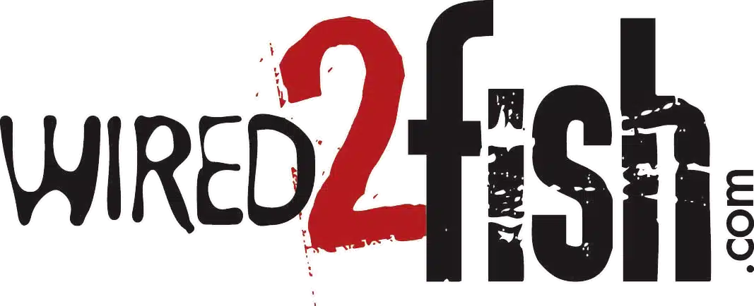 Wired 2 Fish 